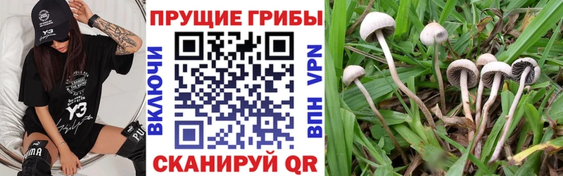 Галлюциногенные грибы GOLDEN TEACHER  Ряжск 